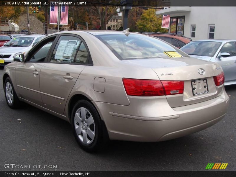 Camel Pearl / Camel 2009 Hyundai Sonata GLS