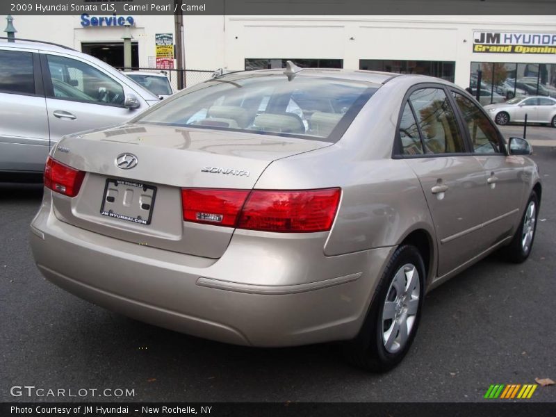 Camel Pearl / Camel 2009 Hyundai Sonata GLS