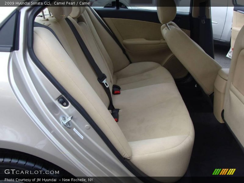 Camel Pearl / Camel 2009 Hyundai Sonata GLS