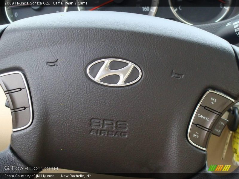 Camel Pearl / Camel 2009 Hyundai Sonata GLS