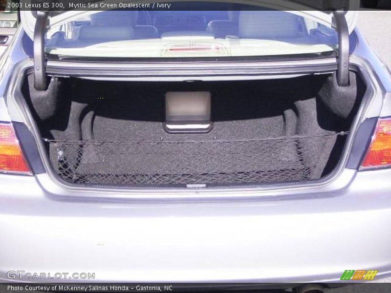 Mystic Sea Green Opalescent / Ivory 2003 Lexus ES 300
