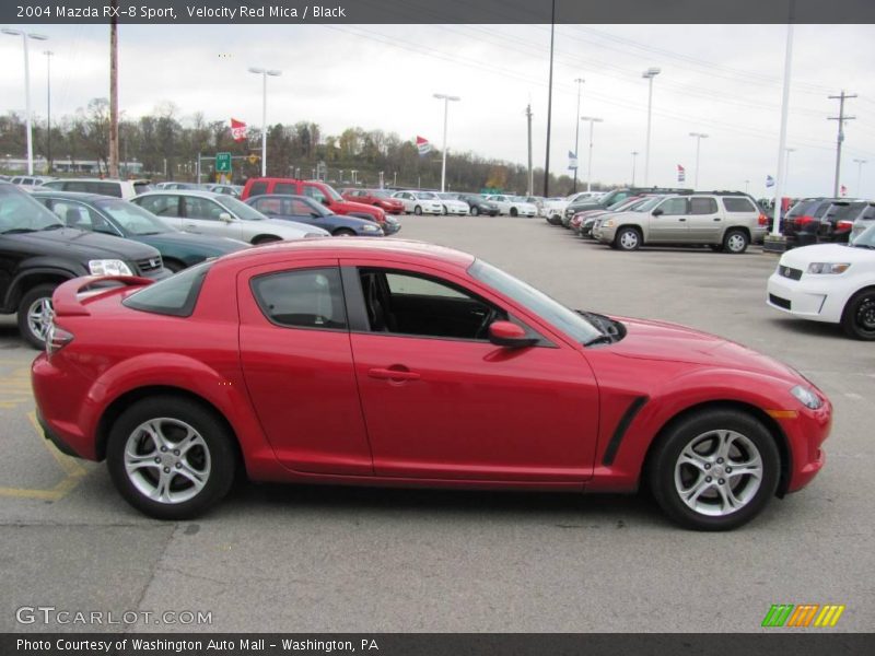 Velocity Red Mica / Black 2004 Mazda RX-8 Sport