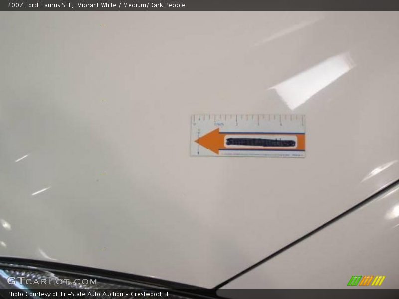 Vibrant White / Medium/Dark Pebble 2007 Ford Taurus SEL