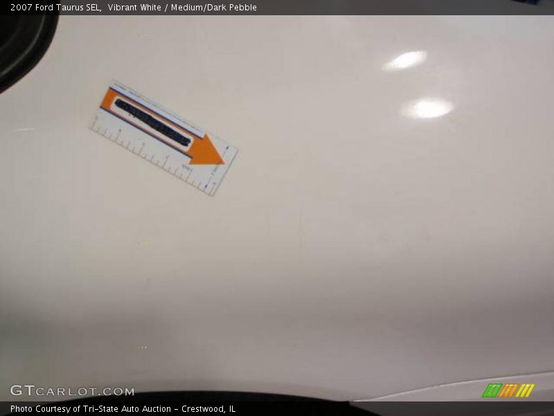Vibrant White / Medium/Dark Pebble 2007 Ford Taurus SEL