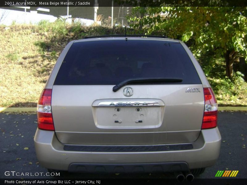 Mesa Beige Metallic / Saddle 2001 Acura MDX