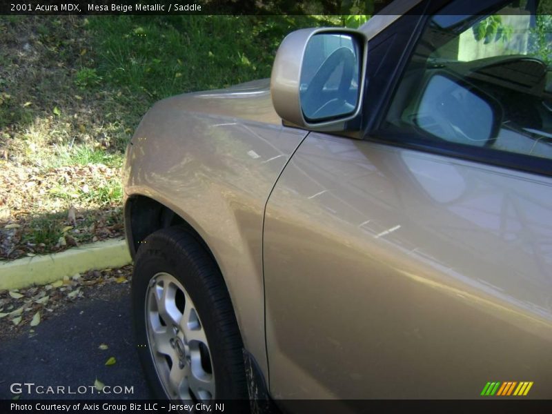 Mesa Beige Metallic / Saddle 2001 Acura MDX