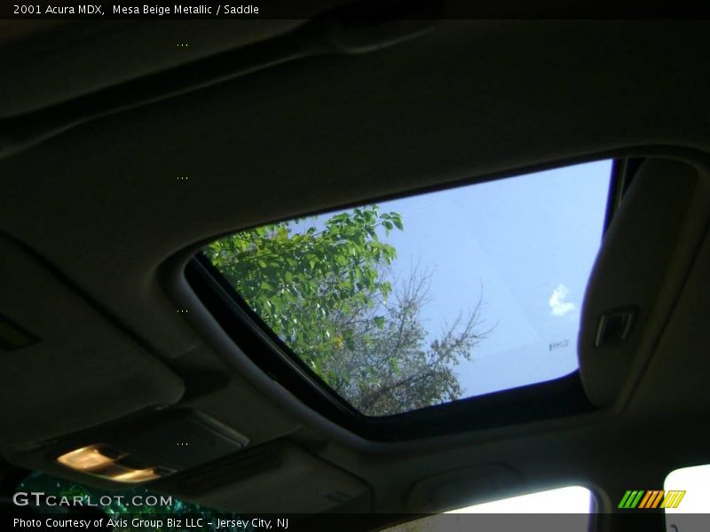 Mesa Beige Metallic / Saddle 2001 Acura MDX