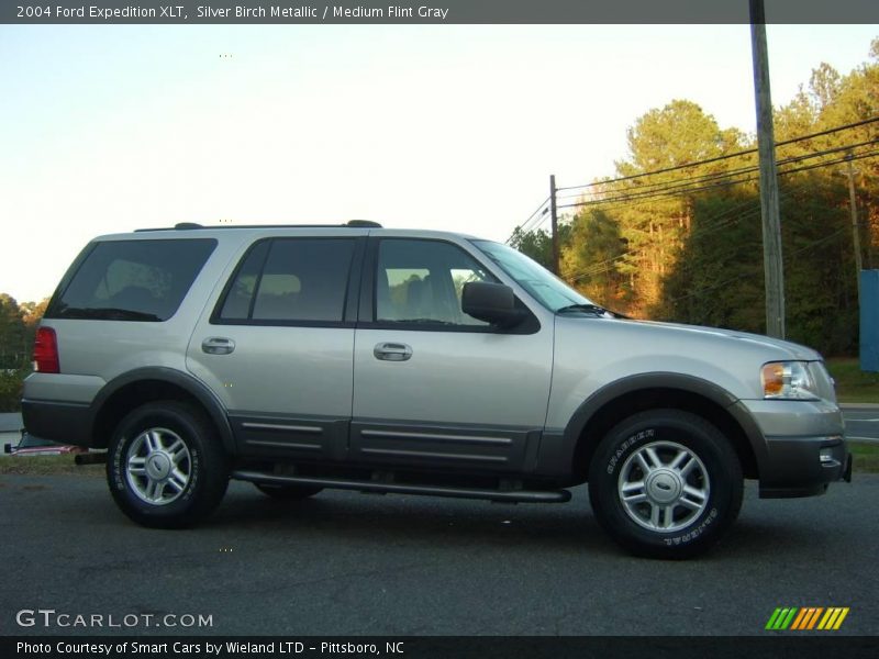 Silver Birch Metallic / Medium Flint Gray 2004 Ford Expedition XLT