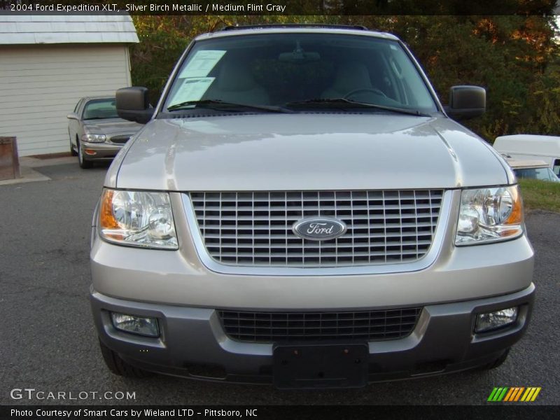 Silver Birch Metallic / Medium Flint Gray 2004 Ford Expedition XLT