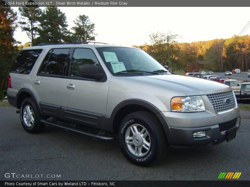 Silver Birch Metallic / Medium Flint Gray 2004 Ford Expedition XLT