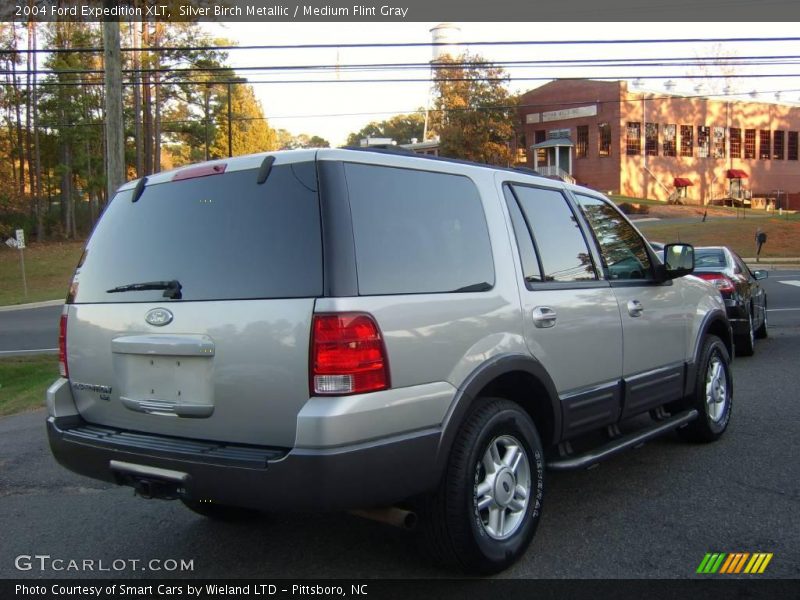 Silver Birch Metallic / Medium Flint Gray 2004 Ford Expedition XLT