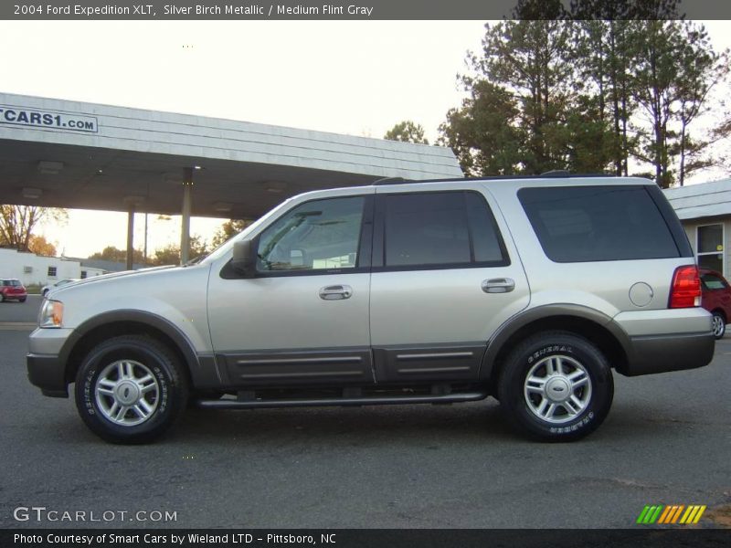 Silver Birch Metallic / Medium Flint Gray 2004 Ford Expedition XLT