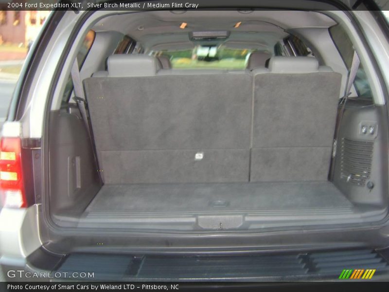 Silver Birch Metallic / Medium Flint Gray 2004 Ford Expedition XLT