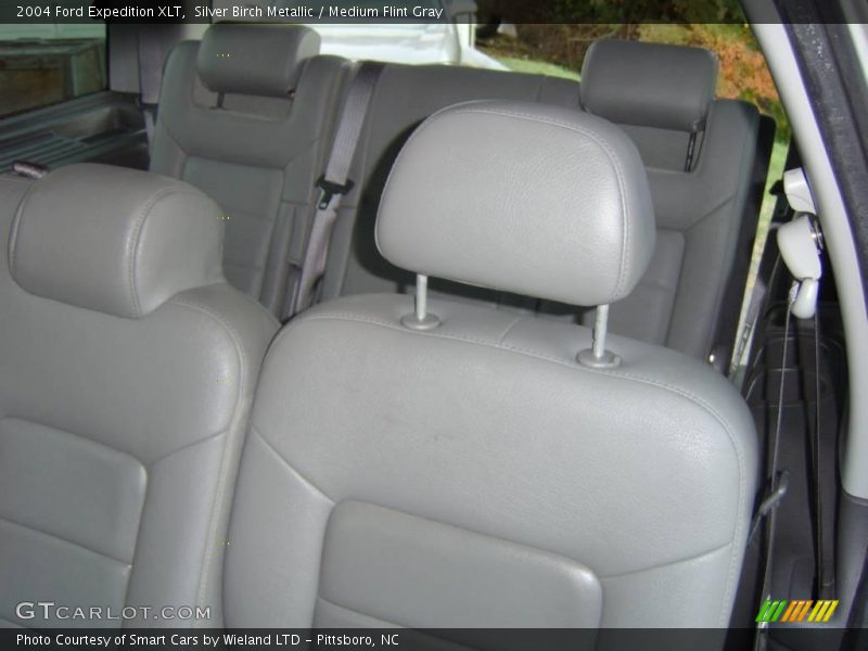 Silver Birch Metallic / Medium Flint Gray 2004 Ford Expedition XLT