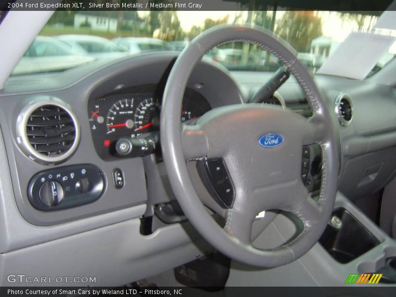 Silver Birch Metallic / Medium Flint Gray 2004 Ford Expedition XLT