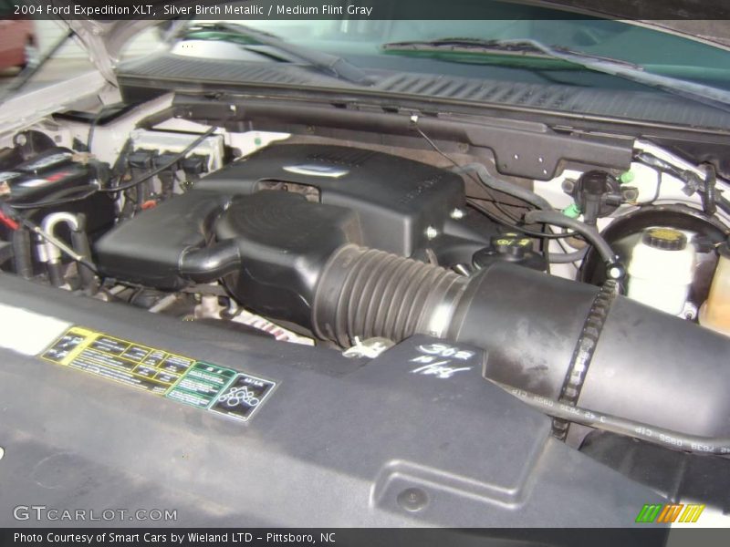Silver Birch Metallic / Medium Flint Gray 2004 Ford Expedition XLT
