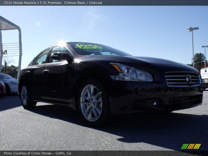 Crimson Black / Charcoal 2010 Nissan Maxima 3.5 SV Premium