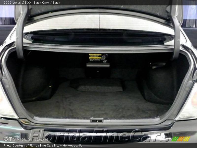 Black Onyx / Black 2002 Lexus IS 300