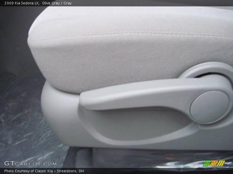 Olive Gray / Gray 2009 Kia Sedona LX