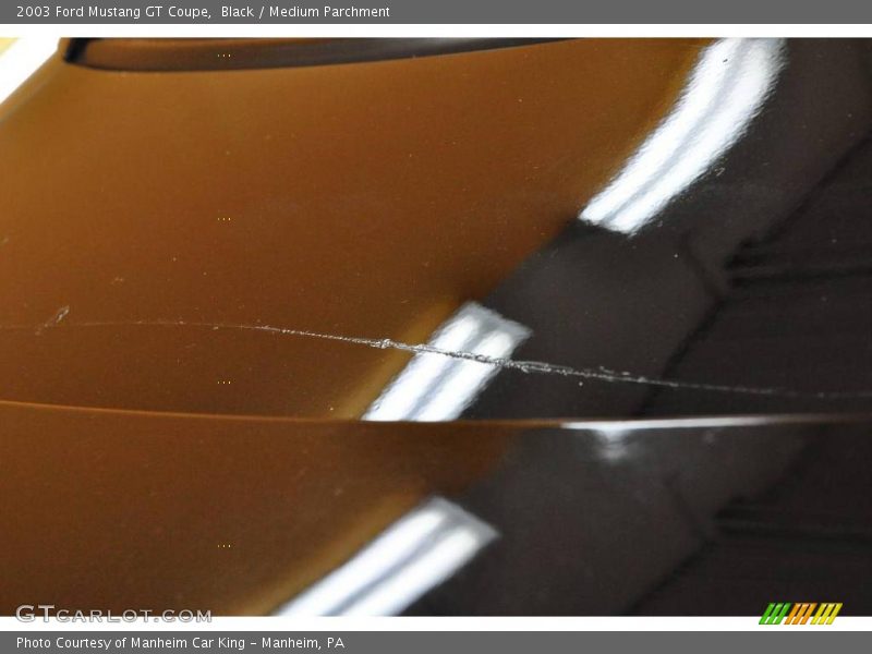 Black / Medium Parchment 2003 Ford Mustang GT Coupe
