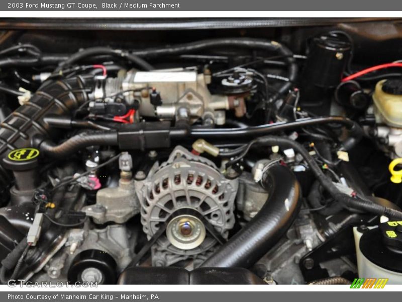 Black / Medium Parchment 2003 Ford Mustang GT Coupe