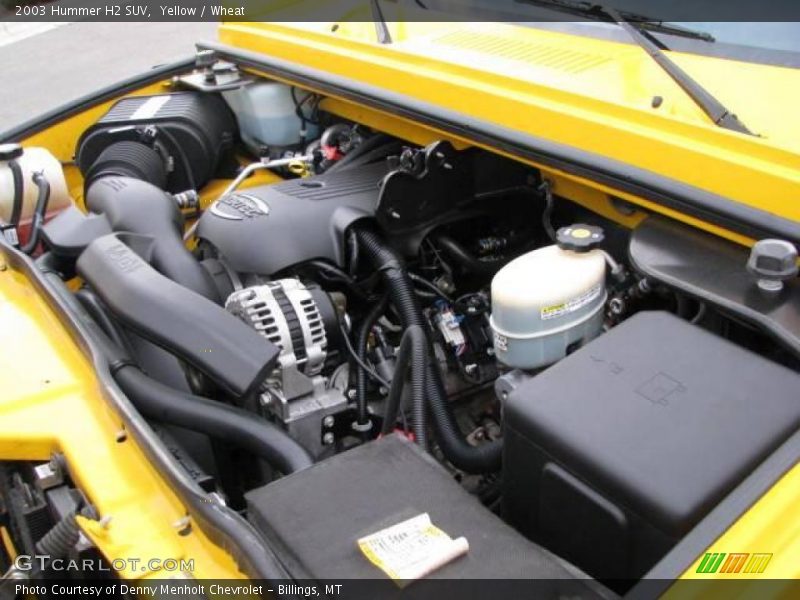 Yellow / Wheat 2003 Hummer H2 SUV