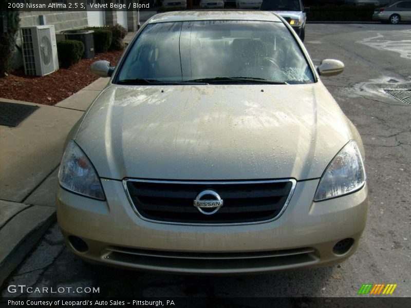 Velvet Beige / Blond 2003 Nissan Altima 2.5 S