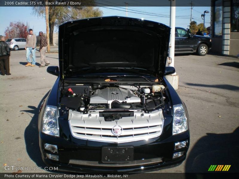 Black Raven / Ebony 2006 Cadillac STS V8