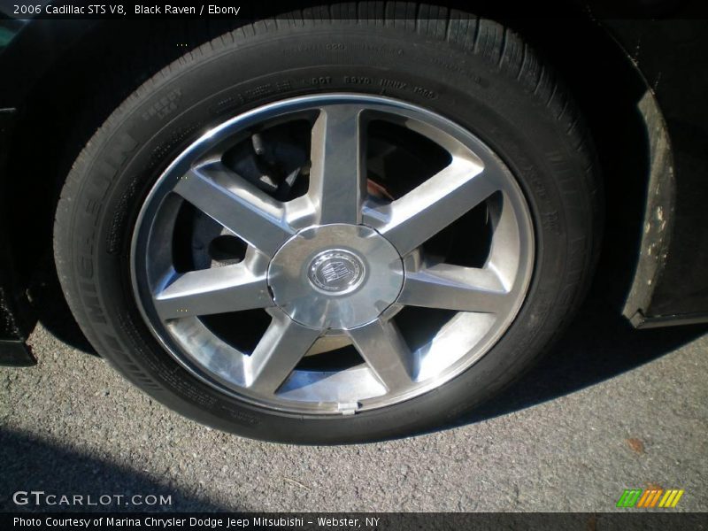 Black Raven / Ebony 2006 Cadillac STS V8