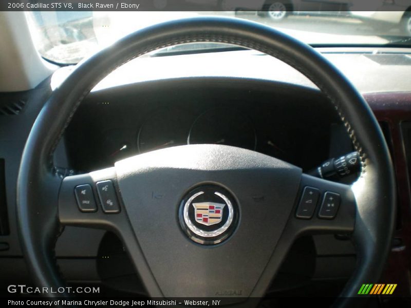 Black Raven / Ebony 2006 Cadillac STS V8