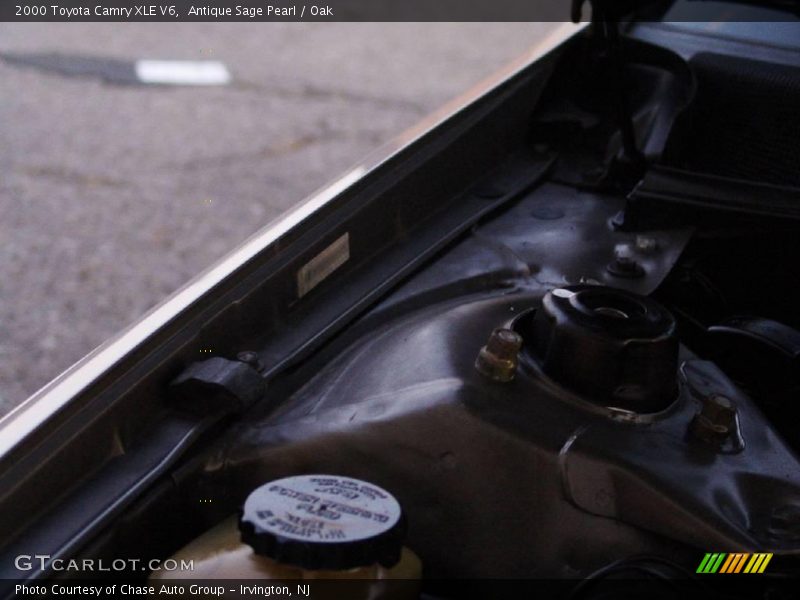 Antique Sage Pearl / Oak 2000 Toyota Camry XLE V6