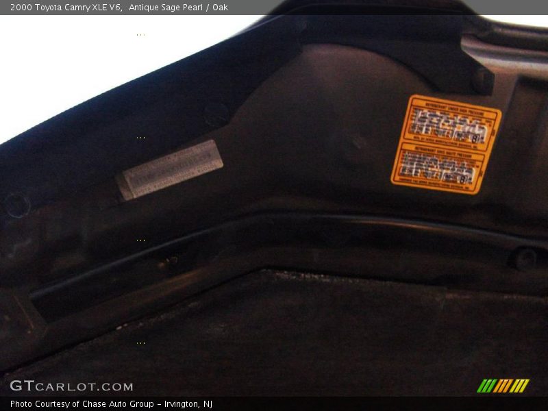 Antique Sage Pearl / Oak 2000 Toyota Camry XLE V6