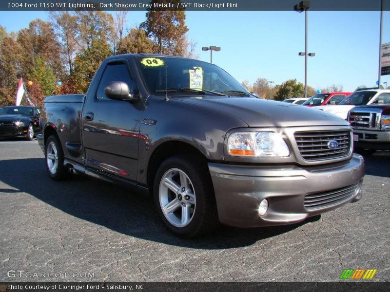 Dark Shadow Grey Metallic / SVT Black/Light Flint 2004 Ford F150 SVT Lightning