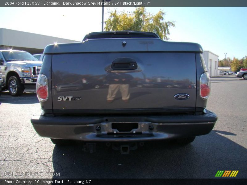 Dark Shadow Grey Metallic / SVT Black/Light Flint 2004 Ford F150 SVT Lightning