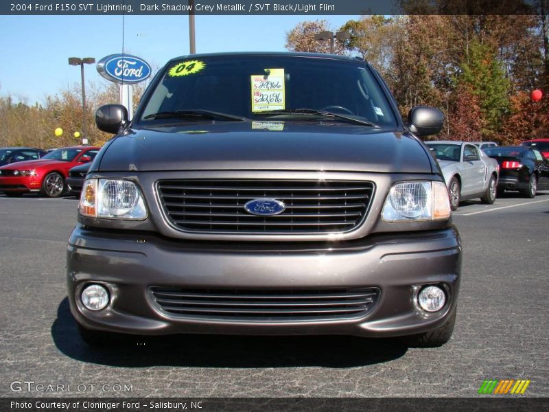 Dark Shadow Grey Metallic / SVT Black/Light Flint 2004 Ford F150 SVT Lightning