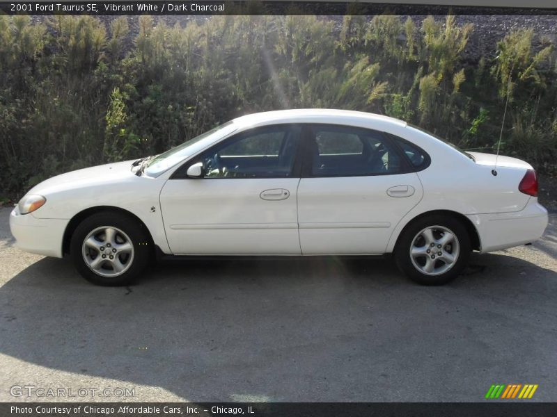 Vibrant White / Dark Charcoal 2001 Ford Taurus SE