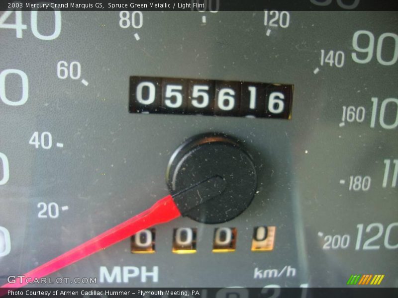 Spruce Green Metallic / Light Flint 2003 Mercury Grand Marquis GS