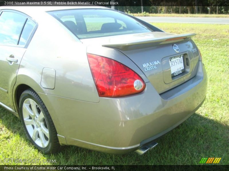 Pebble Beach Metallic / Charcoal Black 2008 Nissan Maxima 3.5 SE