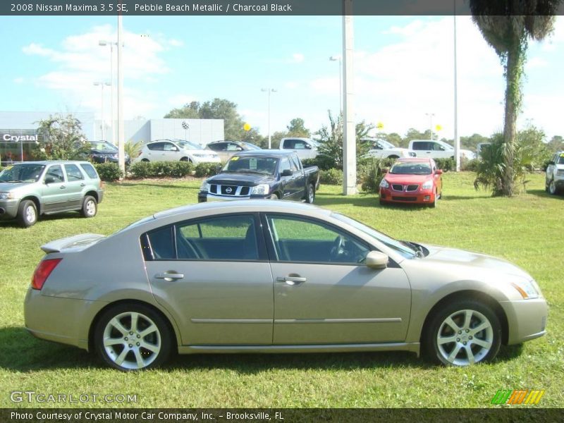 Pebble Beach Metallic / Charcoal Black 2008 Nissan Maxima 3.5 SE