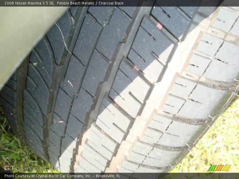 Pebble Beach Metallic / Charcoal Black 2008 Nissan Maxima 3.5 SE