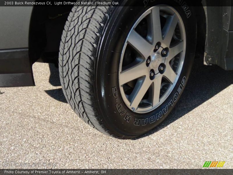 Light Driftwood Metallic / Medium Oak 2003 Buick Rendezvous CX