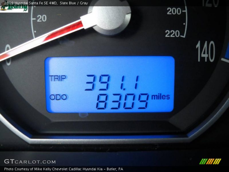 Slate Blue / Gray 2009 Hyundai Santa Fe SE 4WD