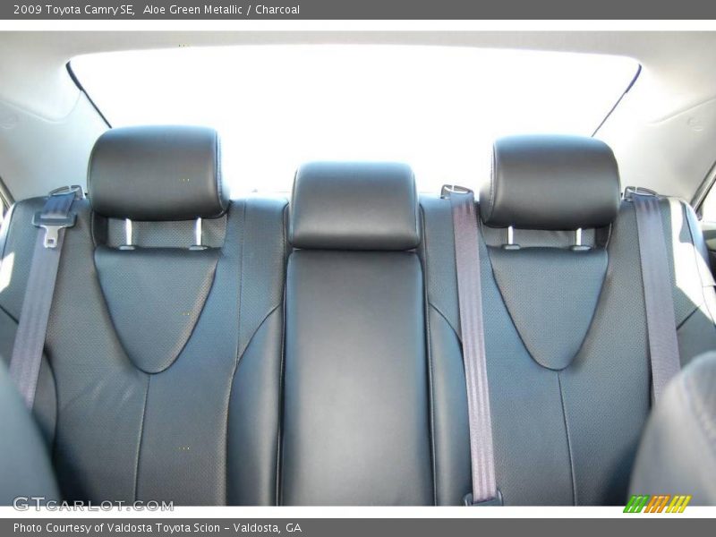 Aloe Green Metallic / Charcoal 2009 Toyota Camry SE