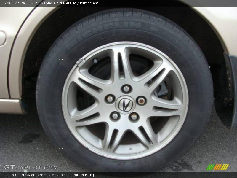 Naples Gold Metallic / Parchment 2001 Acura TL 3.2