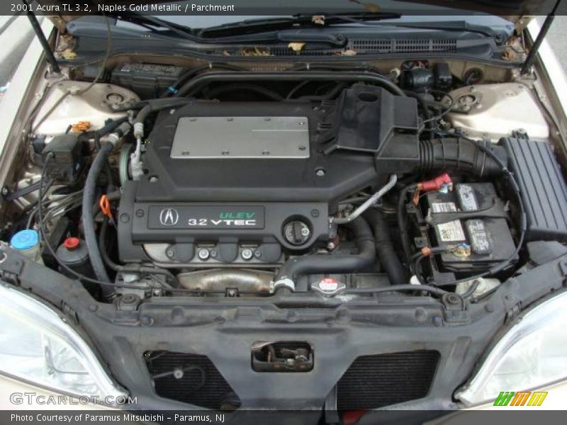 Naples Gold Metallic / Parchment 2001 Acura TL 3.2