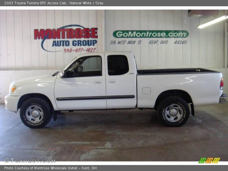 Natural White / Gray 2003 Toyota Tundra SR5 Access Cab
