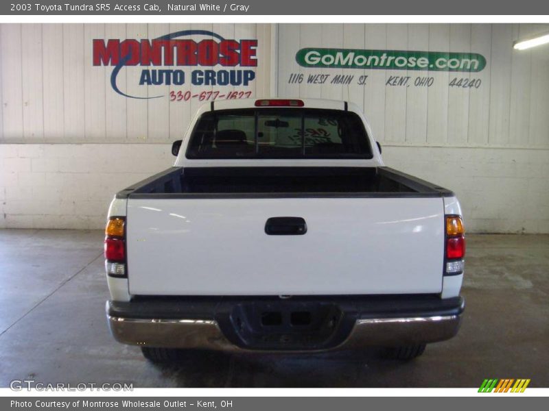 Natural White / Gray 2003 Toyota Tundra SR5 Access Cab