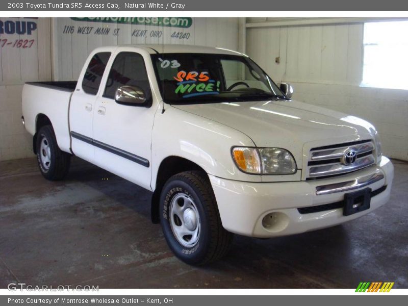 Natural White / Gray 2003 Toyota Tundra SR5 Access Cab