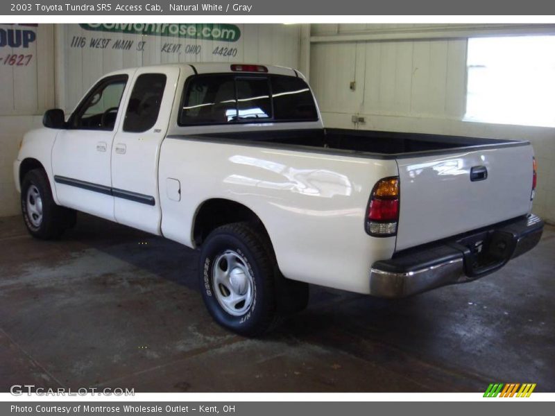 Natural White / Gray 2003 Toyota Tundra SR5 Access Cab