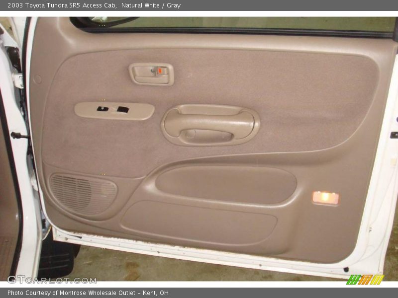 Natural White / Gray 2003 Toyota Tundra SR5 Access Cab